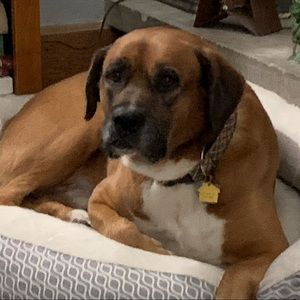 Meet your Posher, Jeanne